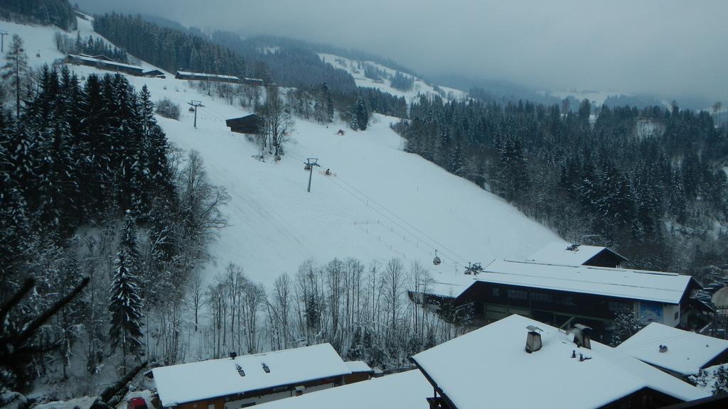 Apartment Gondelblick