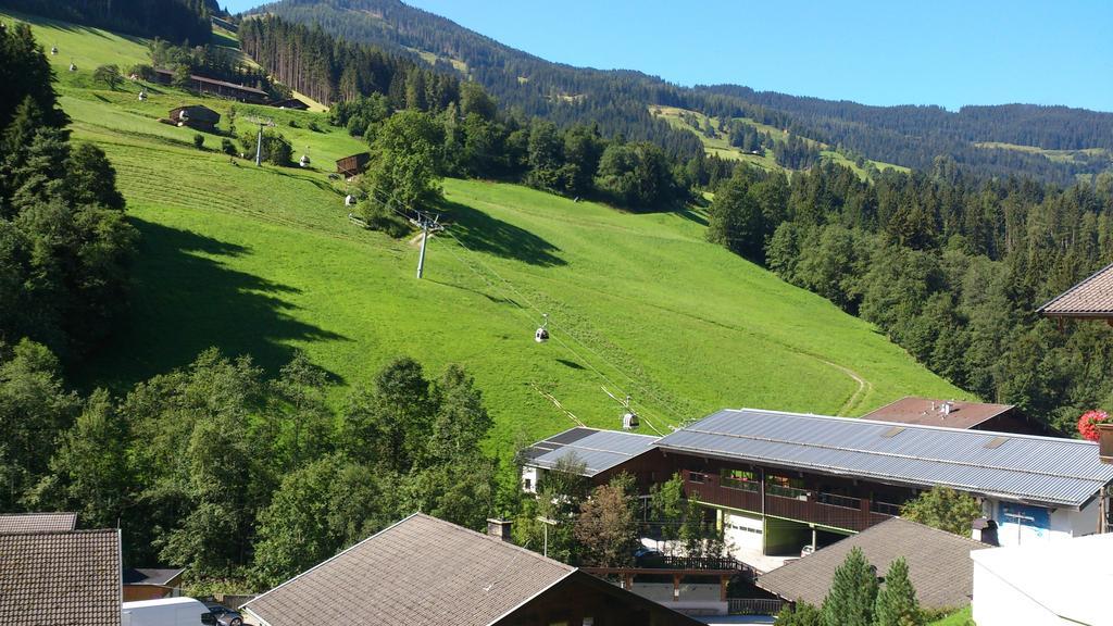 Gondelblick *