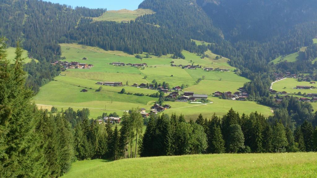 Apartment Gondelblick