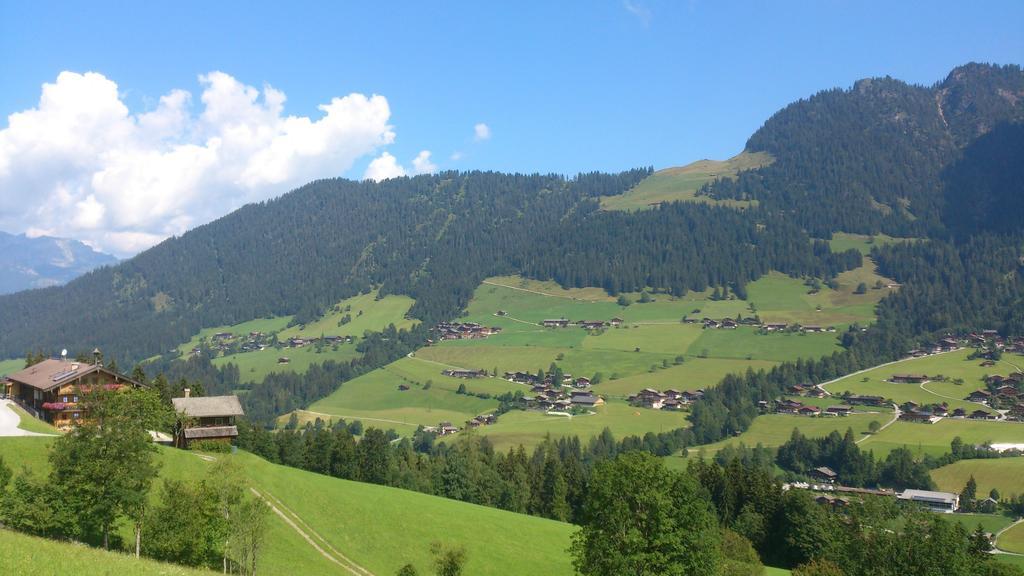 Gondelblick * Alpbach