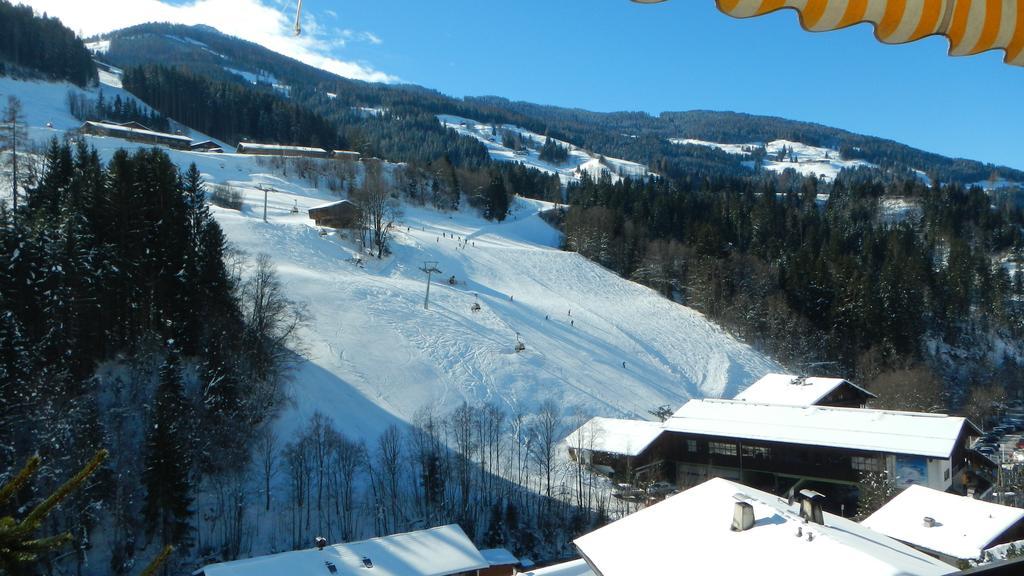 Gondelblick Apartment *