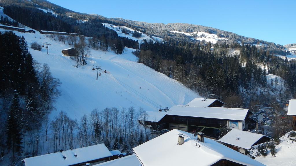 Apartment Gondelblick